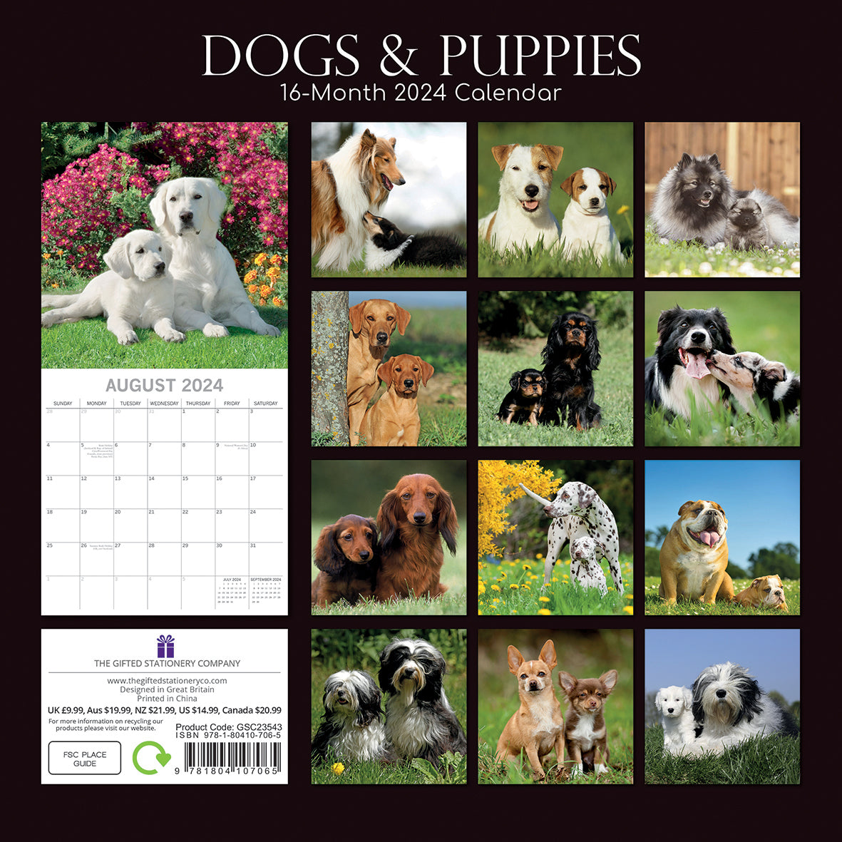 Dogs & Puppies - 2024 Square Wall Calendar Pets Animals 16 Month Premium Planner
