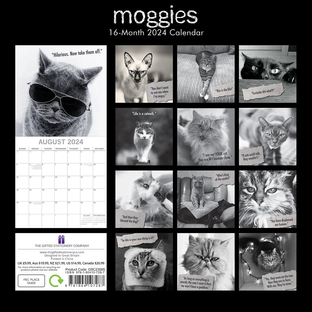 Moggies - 2024 Square Wall Calendar Pets Animals 16 Months Premium Planner Gift