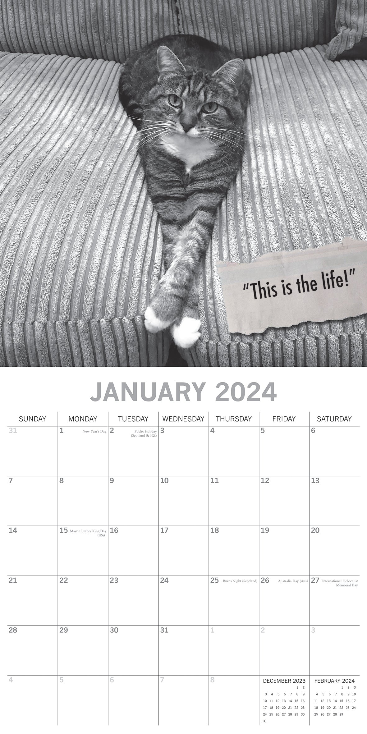 Moggies - 2024 Square Wall Calendar Pets Animals 16 Months Premium Planner Gift
