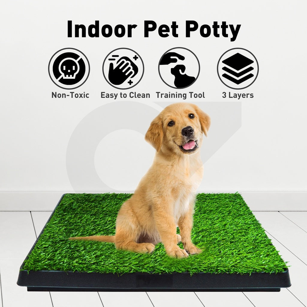 Indoor Dog Toilet Tray for Potty Training