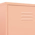 Wardrobe Pink 90x50x180 cm Steel
