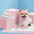 Pet Training Pads 200pcs 60x60cm Puppy Dog Toilet Pee Indoor Super Absorbent Pink