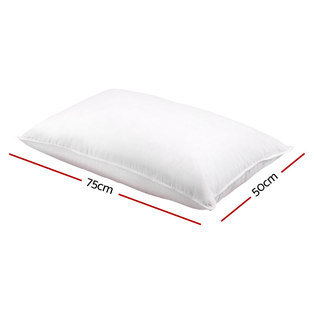 Duck Feather Down Pillow Twin Pack