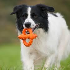 Octopus Retrieval Ball - Large - Fetch Toy
