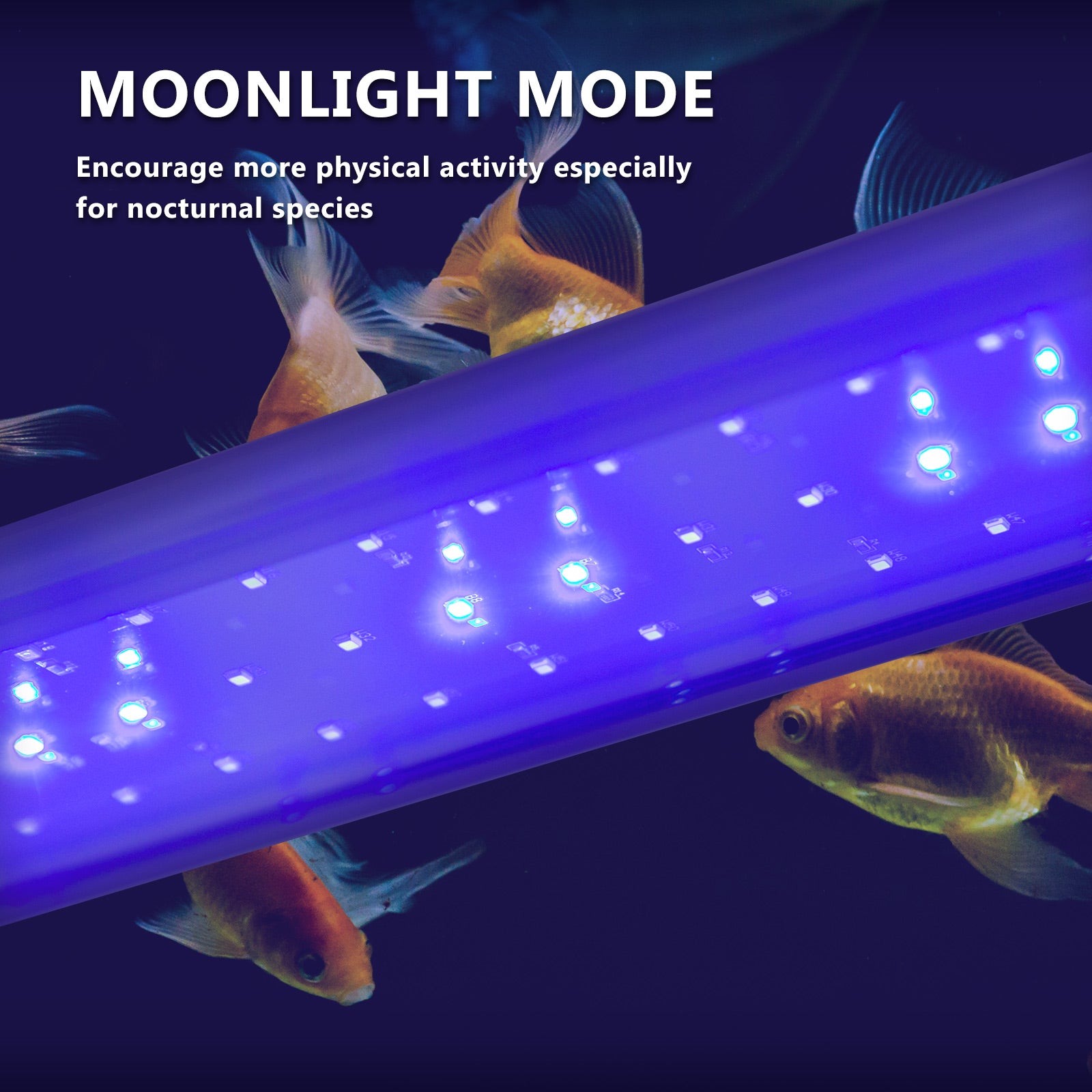 6W Aquarium Blue White LED Light for Tank 30-50cm