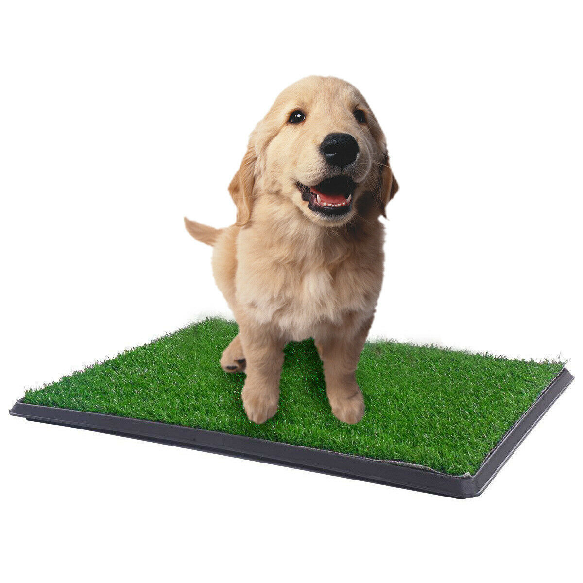 XL Indoor Dog Puppy Toilet Grass Training Mat Loo Pad Potty W 2 Grass