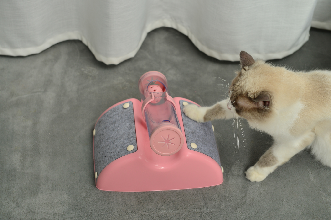 Cat Play Box Kit Pet Toy Kitten Toys Interactive Ball Peek Hunting Toy-Pink