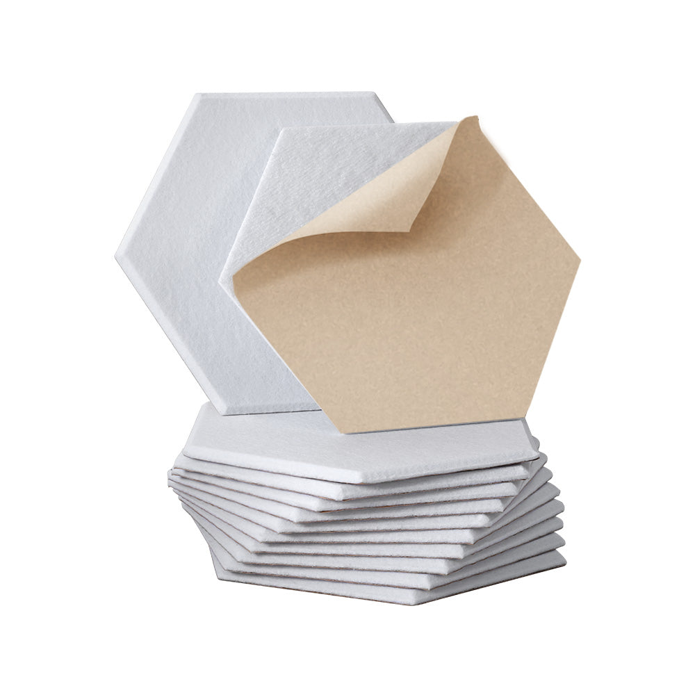 Sound Dampening Panels & Form