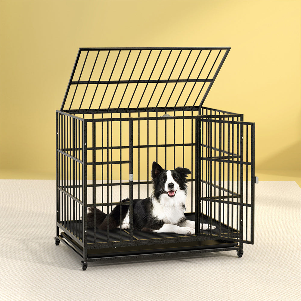 Enclosures & Cages