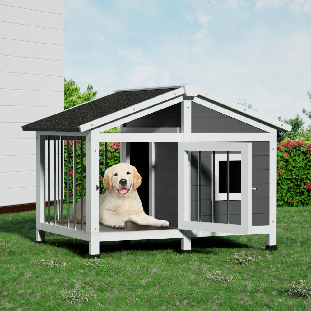 Dog Furniture