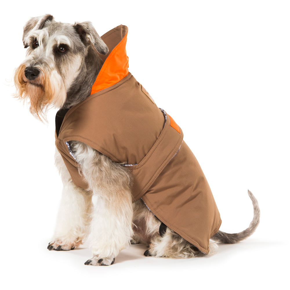 Pet Coats