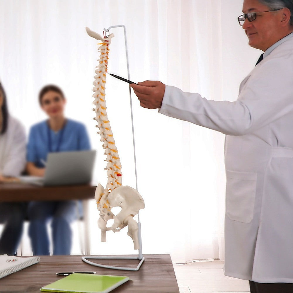 Medical Teaching Equipment