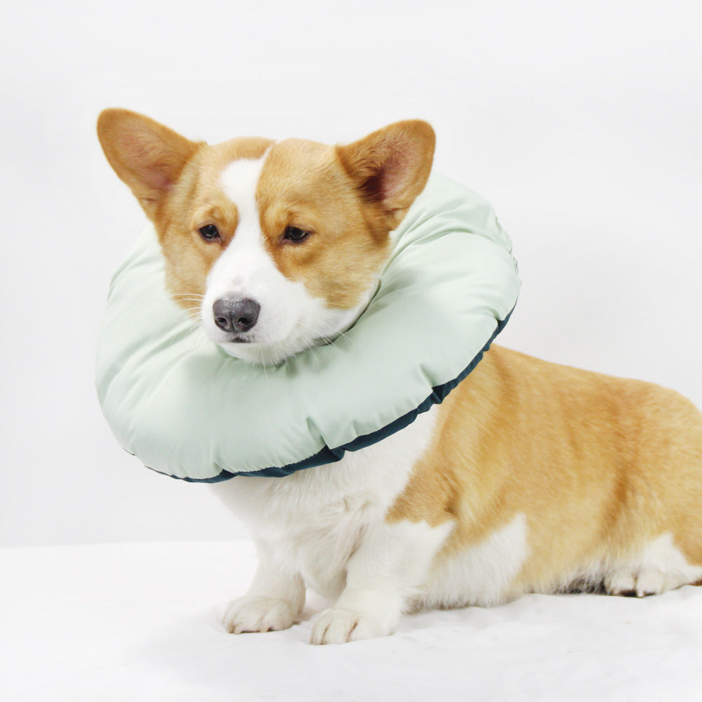 Pet Medical Collars