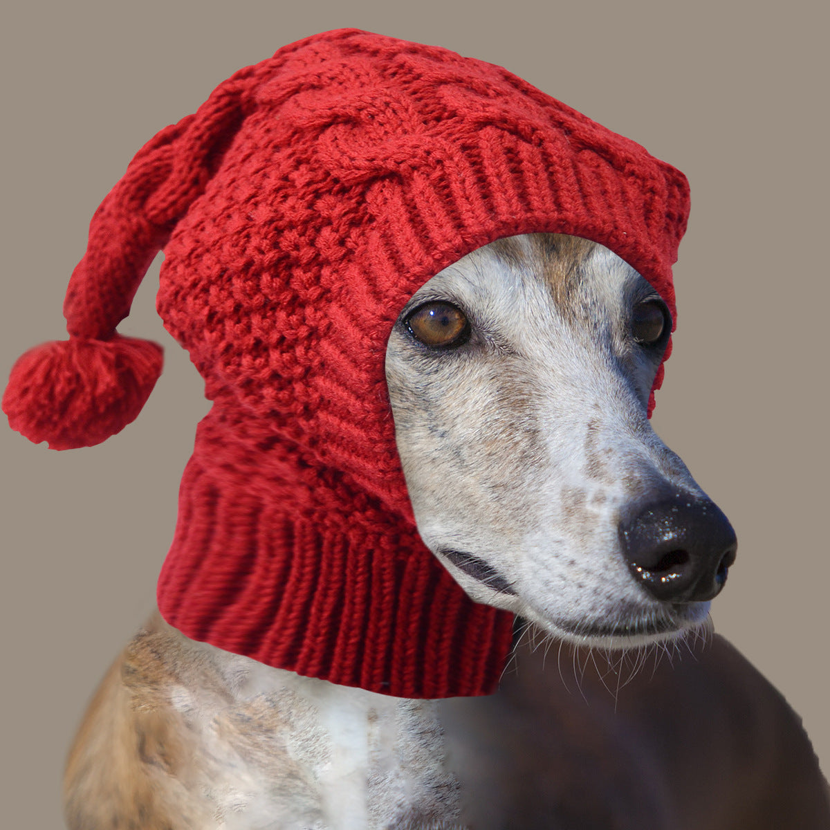 Pet Hats