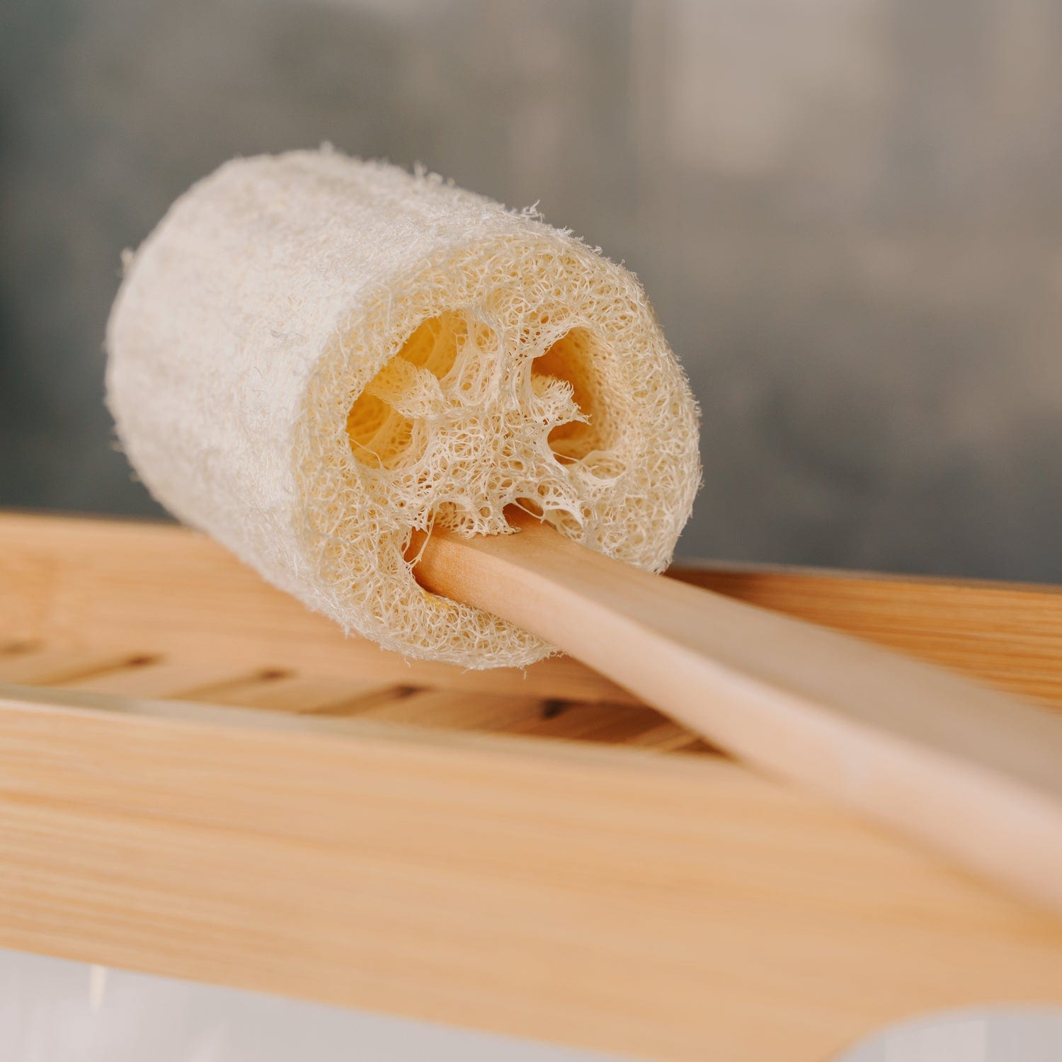 Bath Sponges & Loofahs