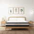 Osteopedic Euro Top Pocket Spring Mattress - King Single-1902483617389613061