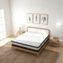 Osteopedic Euro Top Pocket Spring Mattress - King Single-1902483617389613063