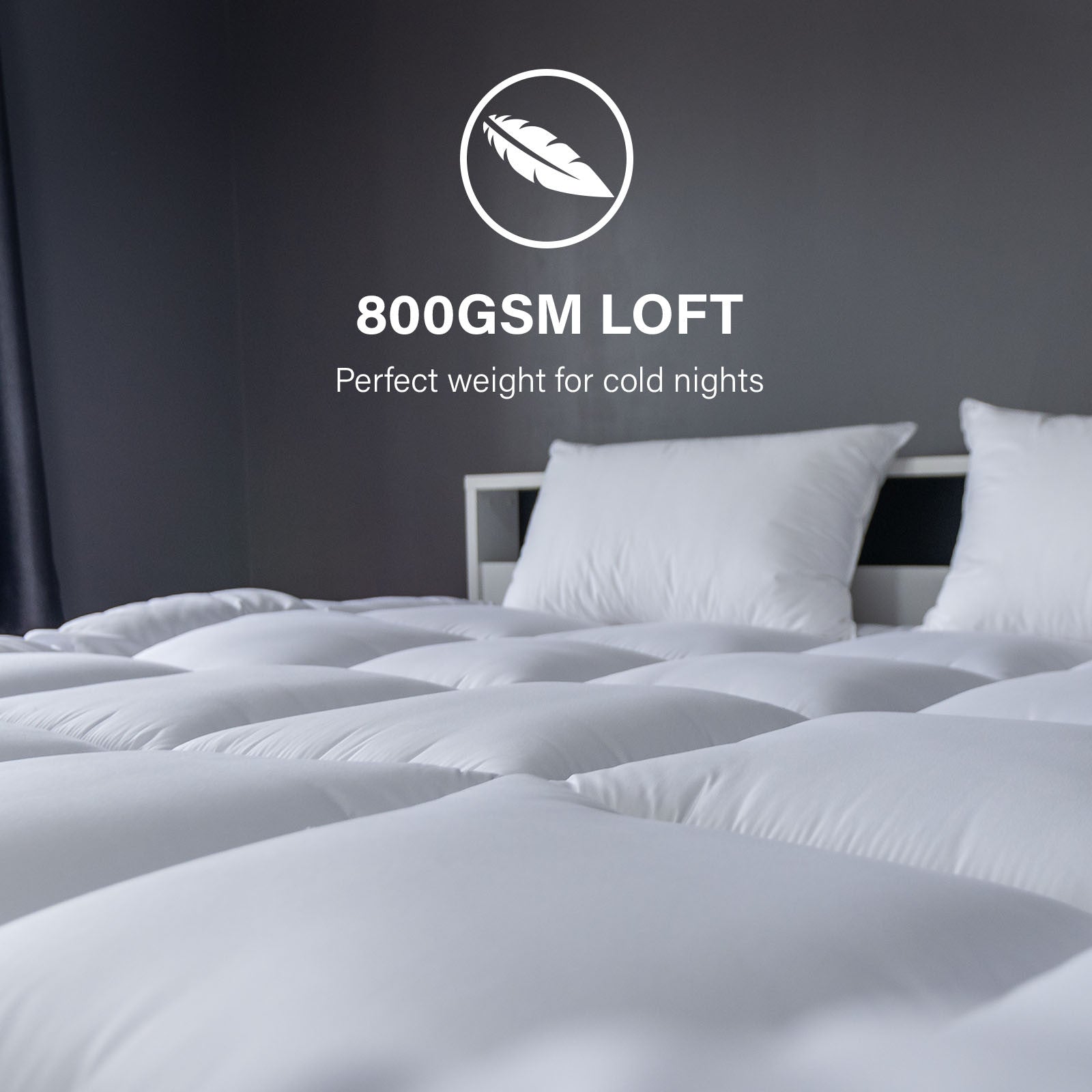 Royal Comfort 800GSM Silk Quilt - Single-1951134843563806724