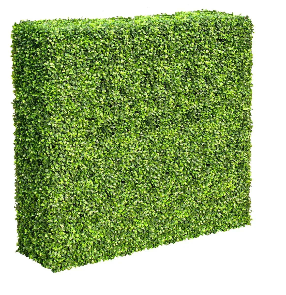 Artificial Boxwood Hedge 100×100cm – UV Resistant Portable Privacy Panel