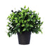 Artificial Jasmine Plant 20cm – UV Resistant Potted Flower, Indoor/Outdoor