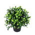 Artificial Jasmine Plant 20cm – UV Resistant Potted Flower, Indoor/Outdoor