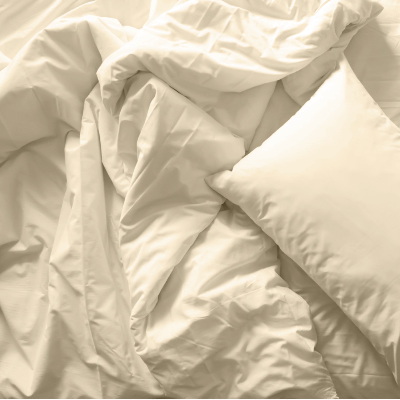 Royal Comfort Blended Bamboo Quilt Cover Sets -Dark Ivory-Double-1889884803554217987