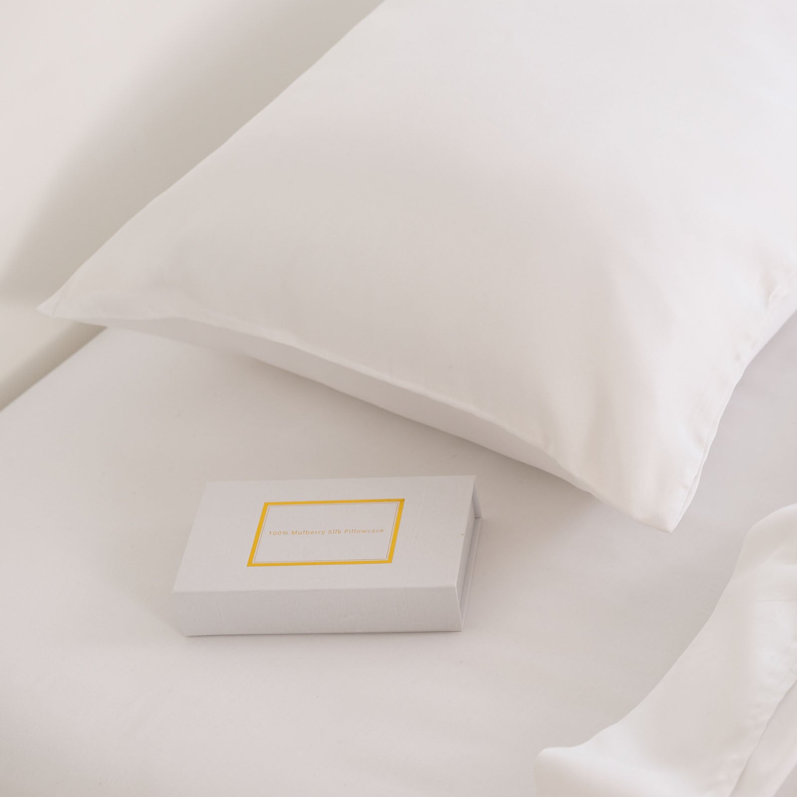 Pure Silk Pillow Case by Royal Comfort-White-1951134813608087555