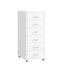 Levede 6 Drawer Office Cabinet Drawers White-2018816811138682880
