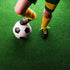 Marlow Artificial Grass Synthetic Turf 2x5m 10SQM-2018816768465833991