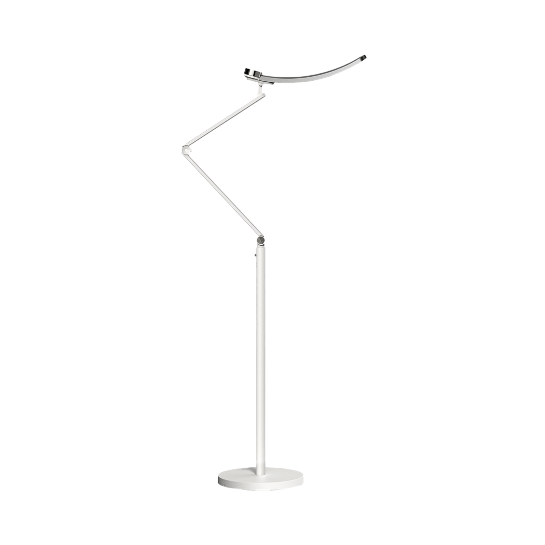 LED Reading Floor Lamp