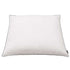 Pillows 2 pcs Down/Feather Filling Heavy 80x80 cm White