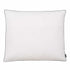 Pillows 2 pcs Down/Feather Filling Light 70x60 cm White