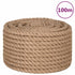 Rope 100% Jute 20 mm 100 m