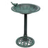 Bird Bath with Decorative Bird