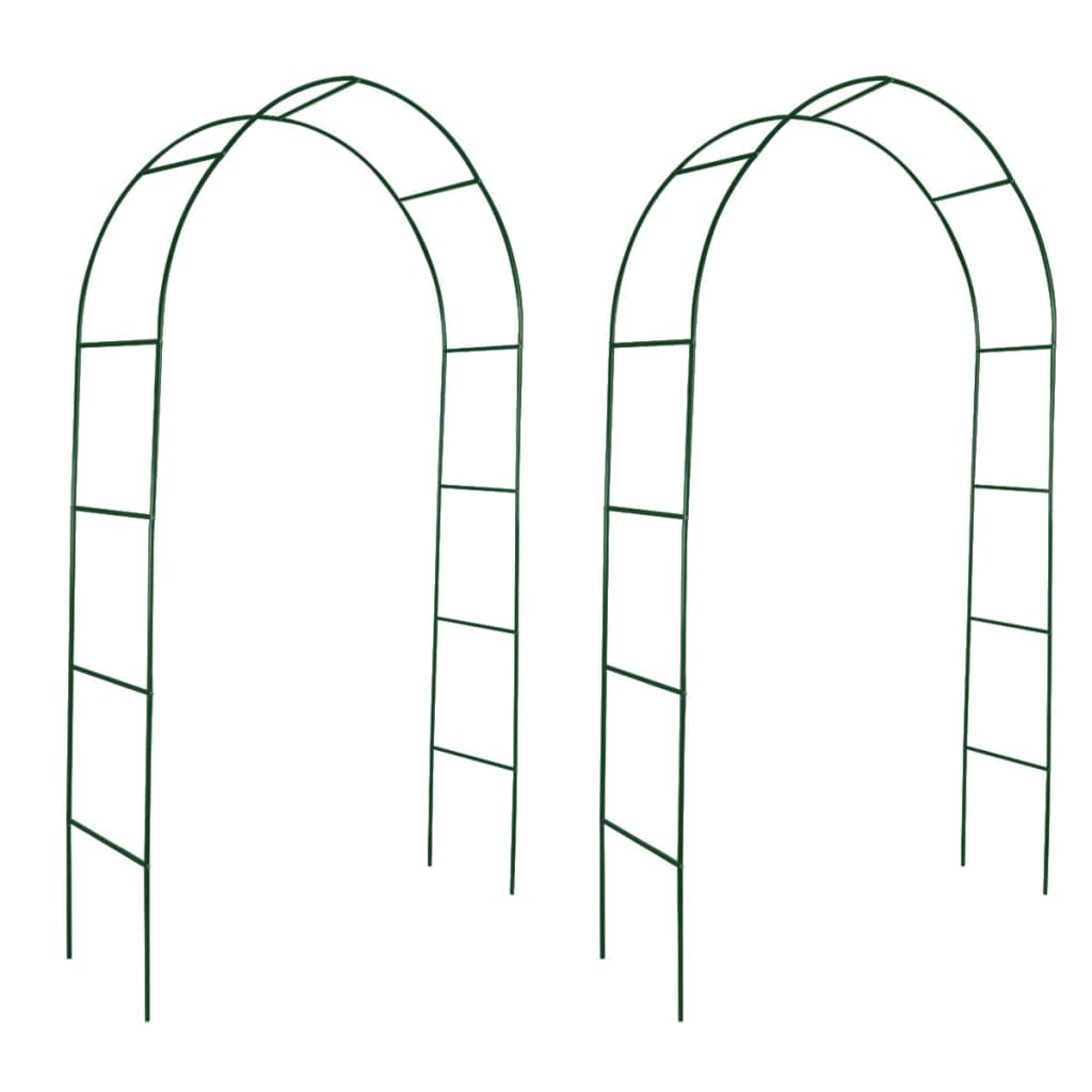 Garden Arch 2 pcs Climbing Plants