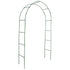 Garden Arch 2 pcs Climbing Plants