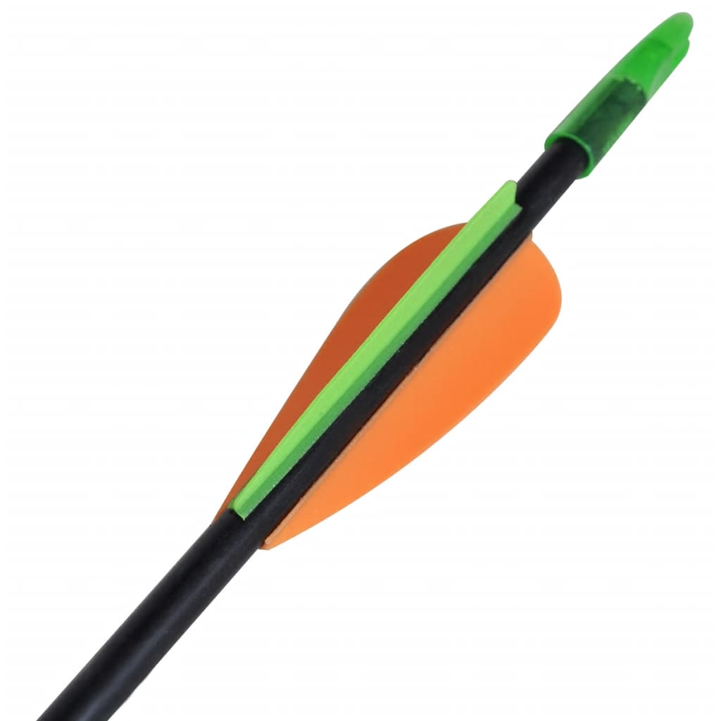 Standard Recurve Bow Arrows 30