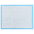 Pet Training Pads 400 pcs 60x45 cm Non Woven Fabric