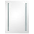 LED Bathroom Mirror Cabinet 50x13x70 cm