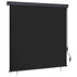 Outdoor Roller Blind 170x250 cm Anthracite