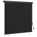 Outdoor Roller Blind 170x250 cm Anthracite