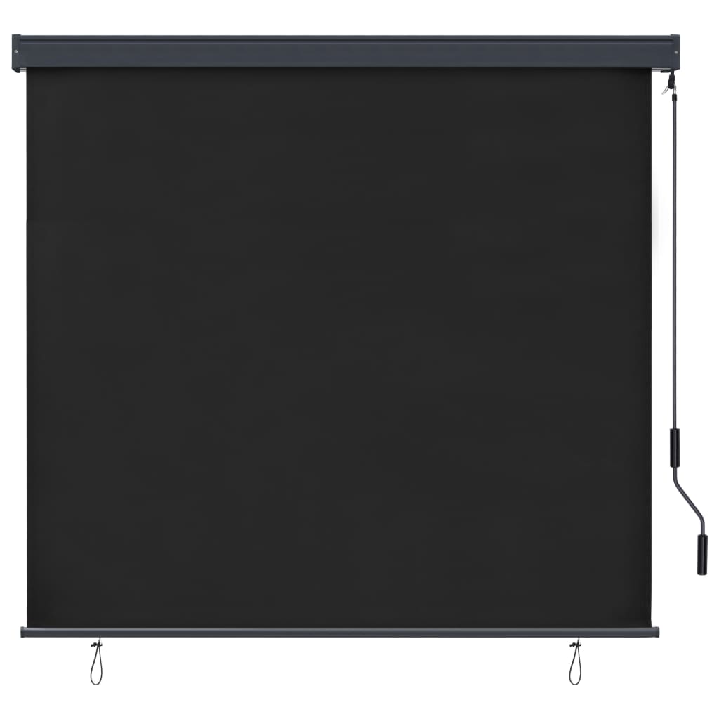 Outdoor Roller Blind 170x250 cm Anthracite