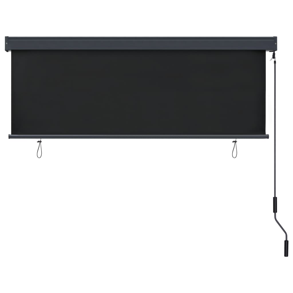 Outdoor Roller Blind 170x250 cm Anthracite