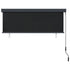 Outdoor Roller Blind 170x250 cm Anthracite