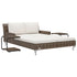 2-Person Garden Sun Bed with Cushions Poly Rattan Brown