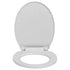 Soft-Close Toilet Seat Quick Release Light Grey Oval