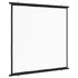 Projection Screen 182.9 cm 1:1