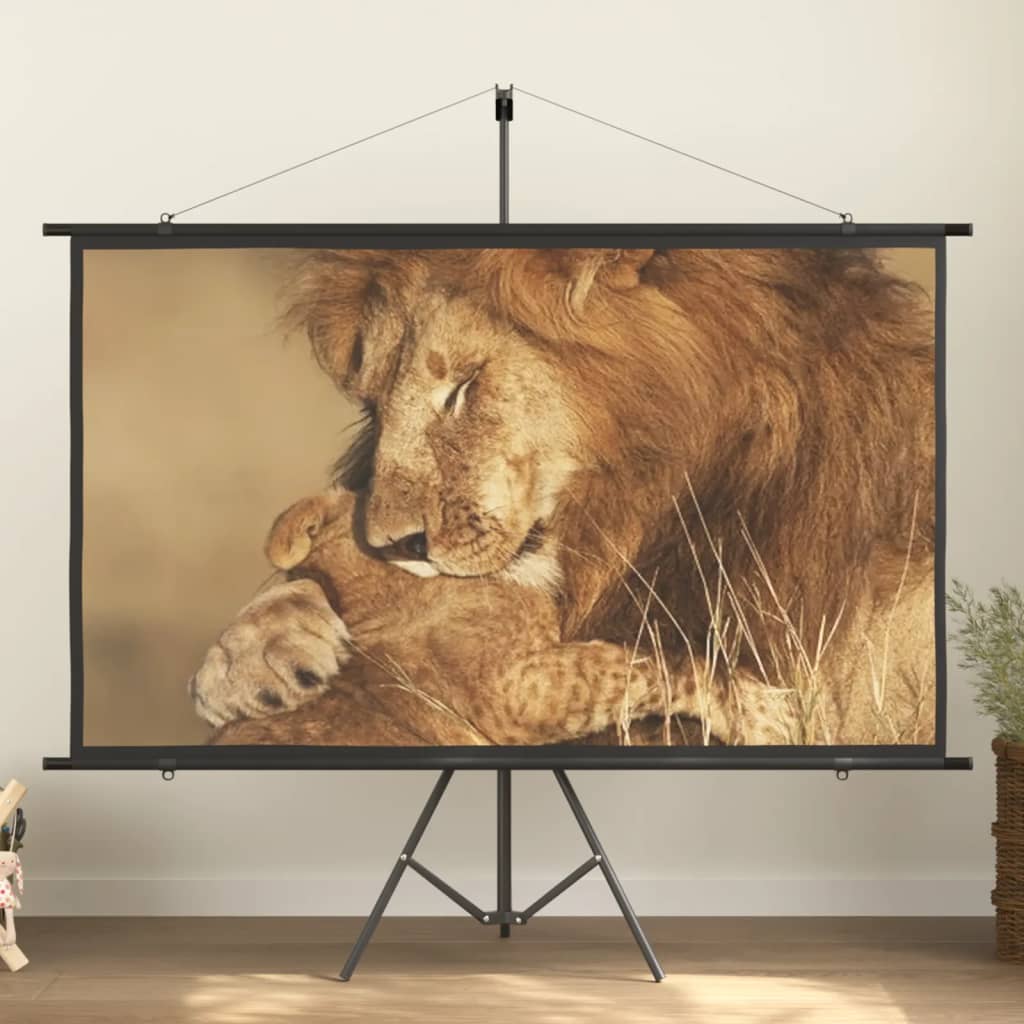 Projection Screen with Tripod 84