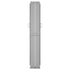 Patio Retractable Side Awning 170x1200 cm Black