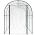 Greenhouse Transparent 160x400x190 cm PVC&Powder-coated Steel